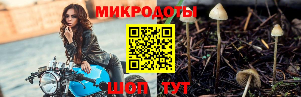 Псилоцибиновые грибы Magic Shrooms Кирово-Чепецк